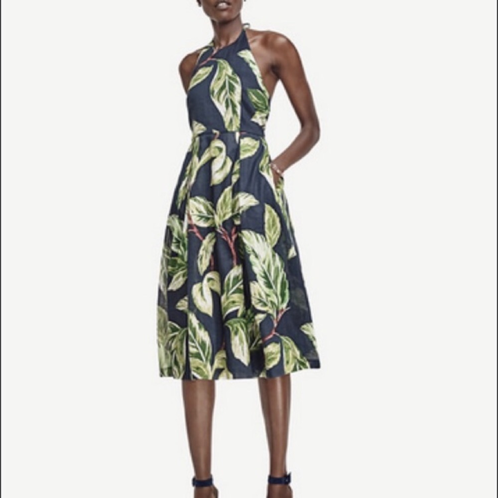 Ann Taylor Amalfi Dress